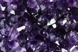 Free-Standing Amethyst Crystal Cluster - Uruguay #368261-1